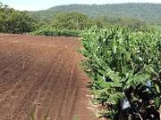 best 18.5 acar agricultural land for sale near burhanpur in village