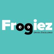 Frogiez Inc | Top Web Design and Web Development Company in Indore
