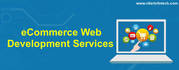 Ecommerce Website Design Company India – Ntier Infotech
