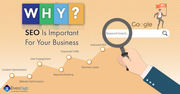 How SEO Is Important For Your Website?