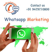 Bulk Whatsapp Marketing