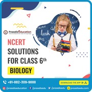 Ncert Solutions For Class 6 Biology