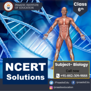 Biology Ncert Solutions For Class 6