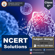  NCERT Solutions For Class 7 Biology