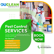 Premier Pest Control Service in Indore: Your Trusted Solution