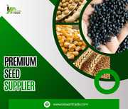 Get Improved Crops with Our Premium Seed Supplier