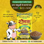 Looking for High Milk Yield? Try Raunak Cattle Feed