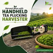 Harvest More with Handheld Tea Plucking Harvester 